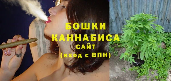 эйфоретик Дмитриев