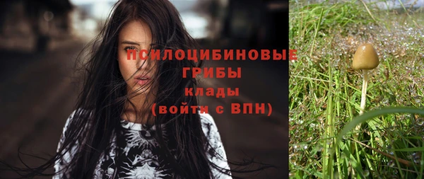 прущая мука Пролетарск