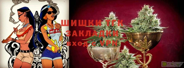 МДПВ Протвино