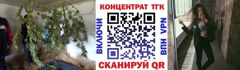 darknet какой сайт  omg зеркало  Заволжье  хочу наркоту  ТГК вейп 