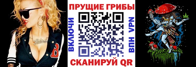 blacksprut как зайти  Заволжье  Псилоцибиновые грибы мицелий 
