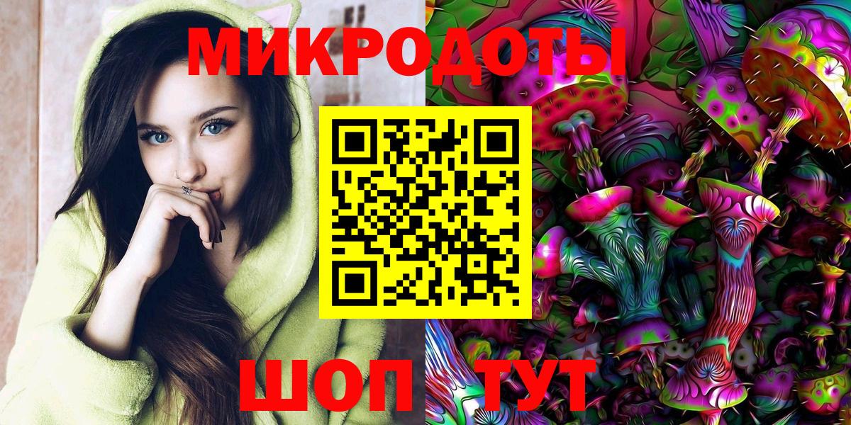 Заволжье  Псилоцибиновые грибы Psilocybine cubensis  Вход с VPN 